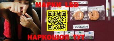 крисы Нальчик