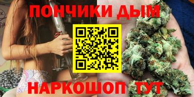 крисы Нальчик