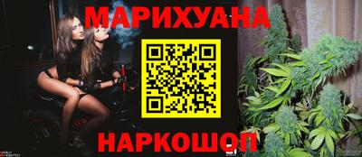 крисы Нальчик