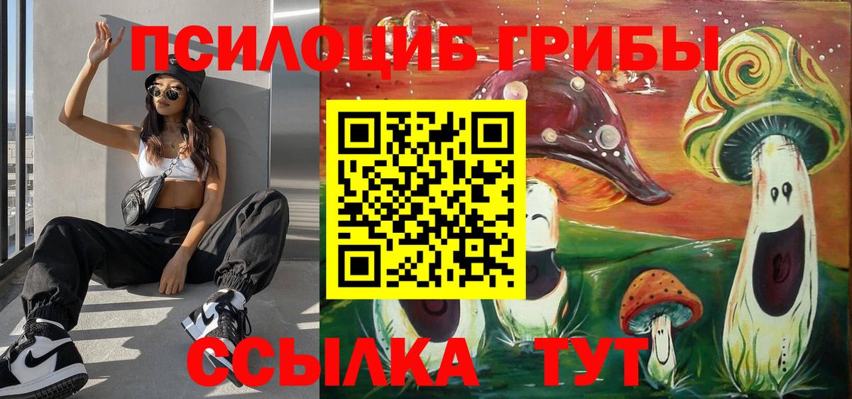 Галлюциногенные грибы Magic Shrooms Строитель