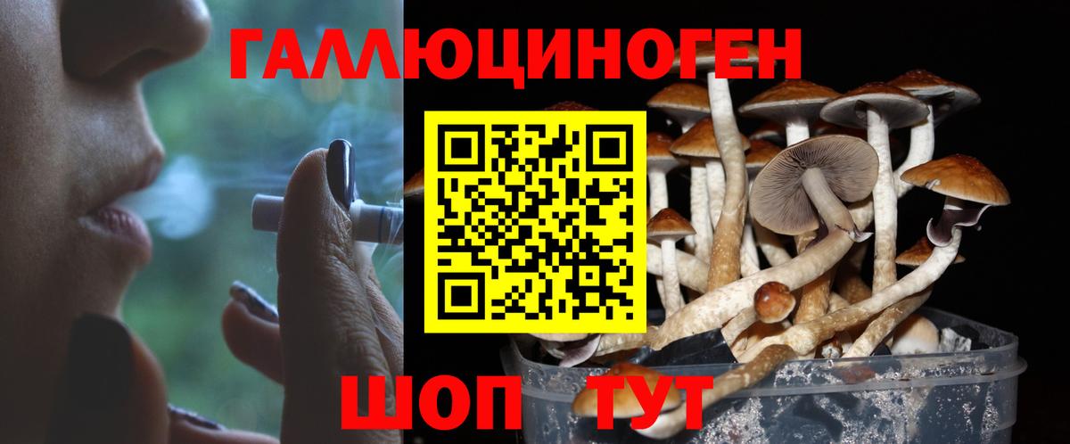 Строитель  Галлюциногенные грибы Psilocybe  Вход с VPN  Псилоцибиновые грибы GOLDEN TEACHER 